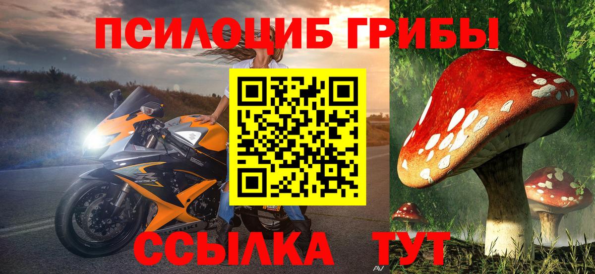 Галлюциногенные грибы прущие грибы Реутов