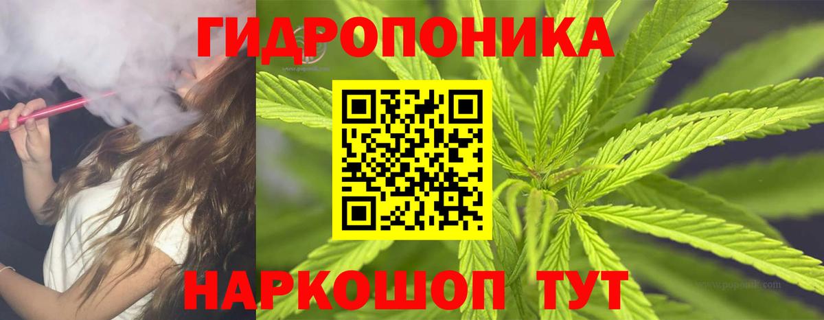 Бошки Шишки план Реутов